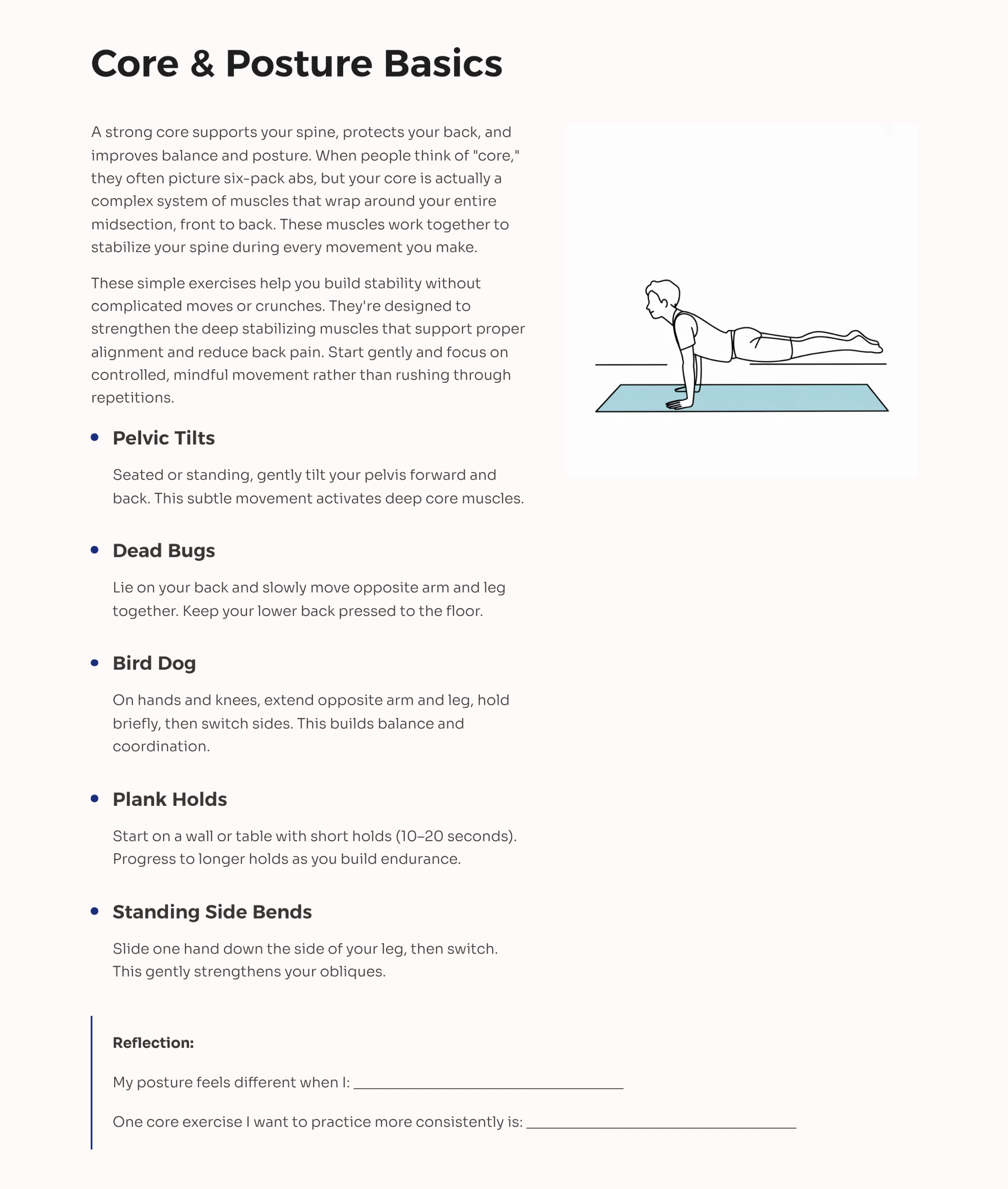 7_Core-and-Posture-Basics Beginner Workout Plan For Home PDF Guide - Image 8